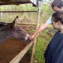 Louie warming up to visitors