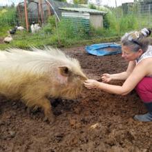 Squiggy getting cuddles from Brenna